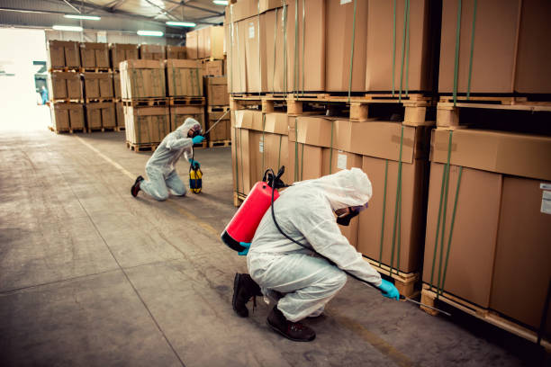 Best Ant Control Services  in North Sioux City, SD