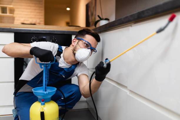 Best Emergency Pest Control  in North Sioux City, SD