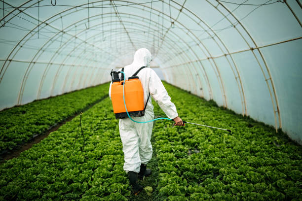 Best Pest Prevention Services  in North Sioux City, SD