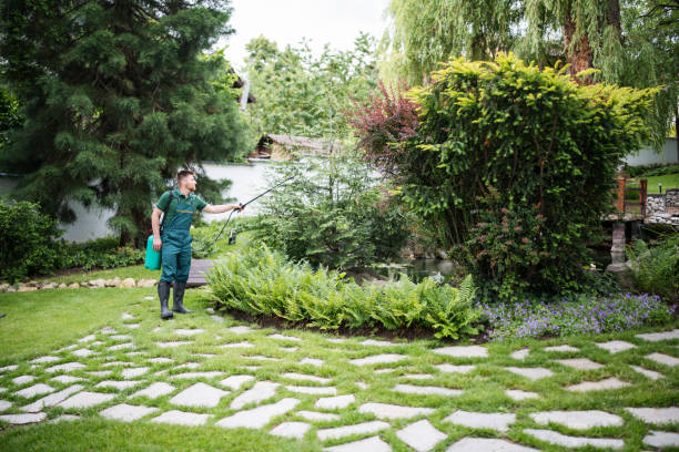 Reliable North Sioux City, SD Pest Control Solutions