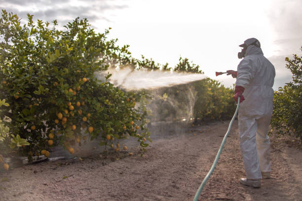 Best Wasp Removal Services  in North Sioux City, SD
