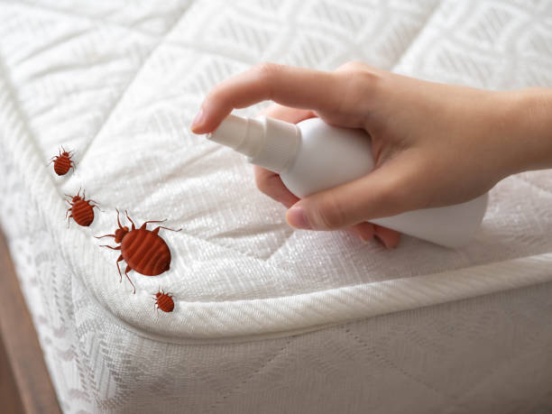 Best Pest Control Near Me in North Sioux City, SD