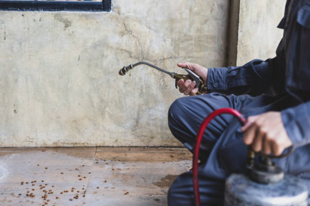 Best Pest Inspection Near Me  in North Sioux City, SD